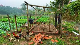 From City CEO to Farm Life: Building a Bamboo Chicken Coop by Hand