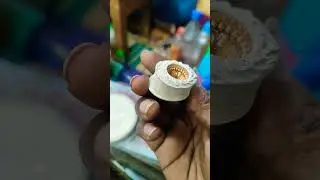 election polls india