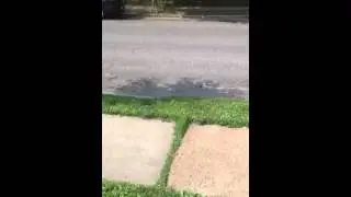 Solar Radiation Management (in real time)