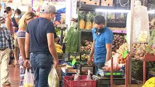 Precio de hortalizas en Merca Panamá empiezan a relfejar leve alza