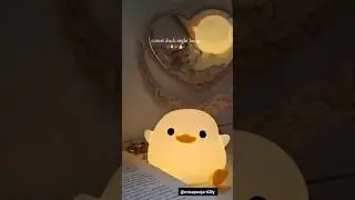cutest duck 🦆 night lamp 🛋️🪔#meesho #meeshohaul