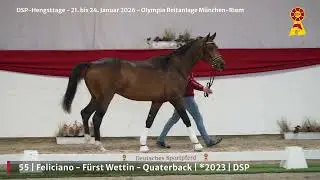 Lot 55 v. Feliciano / F&uuml;rst Wettin