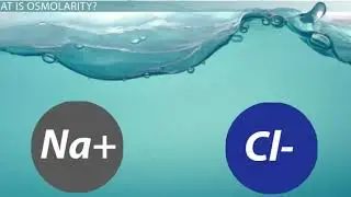 Chapter 5: Membrane Dynamics