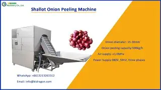 Automatic Shallot Onion Peeling Machine Small Onion Peeler Machine for India, Malaysia, Indonesia