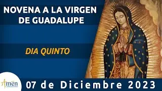 Novena Virgen De Guadalupe l Dia 5 l Padre Carlos Yepes