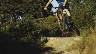 Margam Deer Mountain Bike Trail