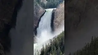#yellowstone #lowerfalls