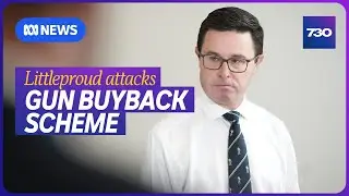 Nationals Leader David Littleproud rails against proposed gun buyback scheme | 7.30