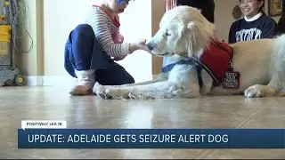 Update: Adelaide gets seizure alert dog