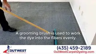 Full Room Carpet Dyeing / Full Room Carpet Restoration