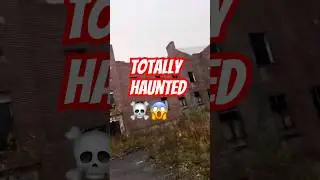 The truth about Saratoga Homestead #haunted Asylum #totallykiller #shortvideo #newyork