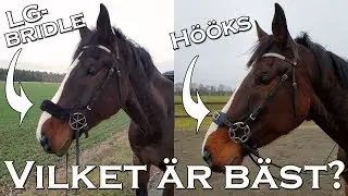 Hööks VS LG Bridle - bettlösa träns