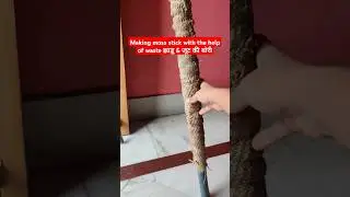 🌿How to make moss stick at home for money plant / DIY moss stick #shorts #plants #ytshorts