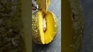 Breadfruit &ndash; The Fruit That Feeds the World! #shorts