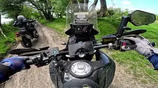 Taffy Dakar, Brechfa Forest Section, CFmoto 450MT