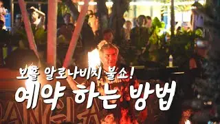보홀 알로나비치 불쇼 예약하는 방법  [알로나비치 낮과 밤 with 보홀랄라]