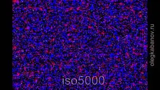 Panasonic DMC-GH4. Noise on different ISO. Low light test.