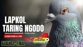 🔴BABAK 1 LAPKOL TARING NGODO PARAKAN TEMANGGUNG