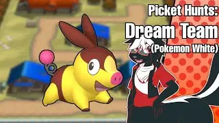 ✨I'm Shiny Hunting for my personal Dream Team in 【Pok&eacute;mon White】!