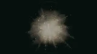 BIO SATELITE