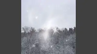 winter solace