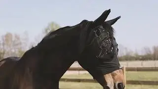 Kentucky Horsewear Fly Masks