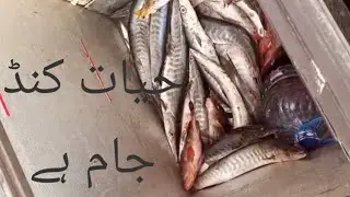 fishing at hayat charna #charnaisland  #hubdamfishing