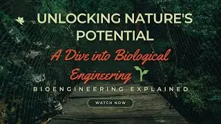 Unlocking Nature's Potential: A Dive into Biological Engineering 🌱 | Bioengineering Explained