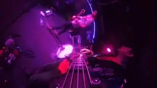 Yamaha Trbx505 5 String Bass in Action - 