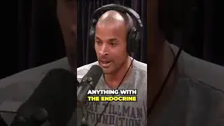 Joe Rogan's Most Controversial Interviews: Unfiltered Conversations#shorts #short #joeroganshort