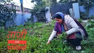 Khet ki Taazi Sabjiyan || Taiji ne laayi lakdiya 