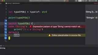 Swift Day 11   type of class