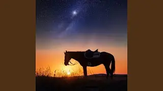 My North Star