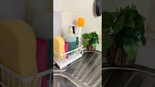 I need a sponge drying rack like this too.