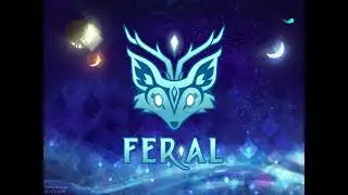 Weird glitch in Feral