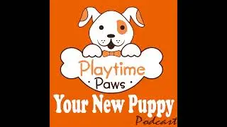 YNP #090: When Your Dog Hates the Rain