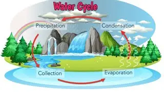 Water Cycle for kids l Learn all about the water Cycle l Smart Study l Aditi Banerjee l