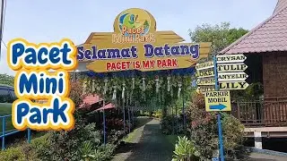 Liburan di  Pacet Minipark
