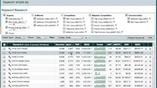 Choosing the Right Domain with Market Samurai