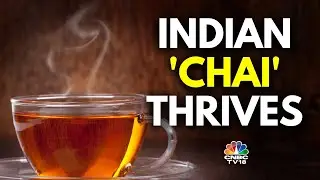 India's Tea Exports Rise To $900 Million In 2024-2025 | N18V | CNBC TV18