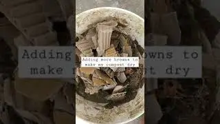 Drying my wet anaerobic composting bin #shorts #gardeningshorts #composting #compostingathome