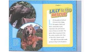 Lilly: Courageous Canine