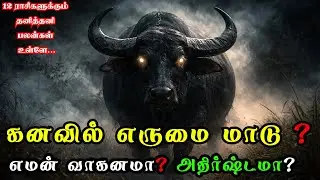 🐃 அதிர்ஷ்டமா? எச்சரிக்கையா! | எருமை மாடு கனவில் வந்தால் என்ன பலன்? | Erumai Dream Meaning 2026