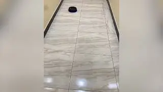 Automatic Robot Mop Quiet Smart Mopping Rechargeable Cleans Hard Floors For Daily Cleaning
