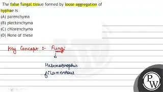 The false fungal tissue formed by loose aggregation of hyphae is (A) parenchyma (B) plectenchyma...
