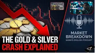 The Gold & Silver Crash Explained | Market Breakdown || Sania's English Podcast