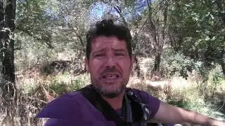 PROGRAMA 2 Estramonio mitos y realidades. Parte 1 07082021