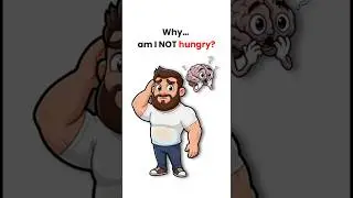 Why Hunger Disappears After 24 Hours (Your Body Explains)