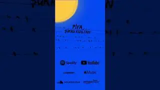 Ş&uuml;kr&uuml; Kızıltan - P&icirc;ya