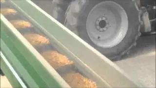 Nastro trasportatore per mais, cippato e altro METAL AGRICOLA